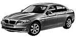 BMW F10 P135A Fault Code